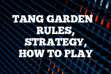 A guide to Tang Garden rules, instructions & strategy tips